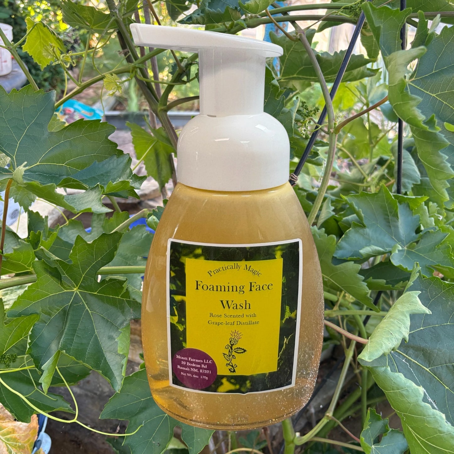 Foaming Face Wash